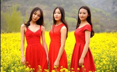 污丝瓜秋葵草莓香蕉榴莲芒果大全